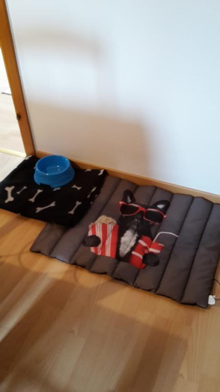 Apartment Lulu Aurich Kültér fotó